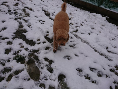 f:id:roukenhome-ann:20190127131416j:plain