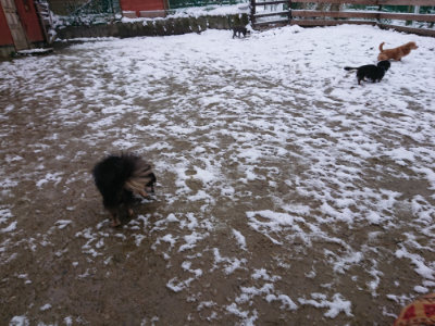 f:id:roukenhome-ann:20190127131431j:plain