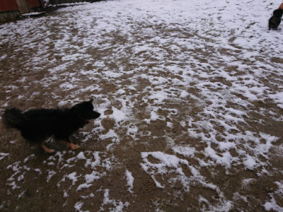 f:id:roukenhome-ann:20190127131439j:plain