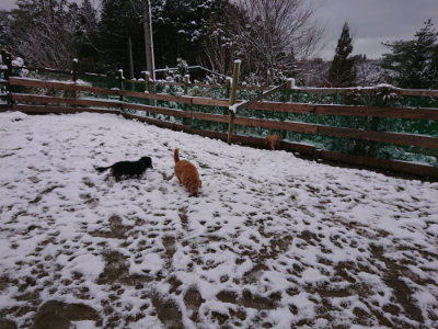 f:id:roukenhome-ann:20190127131444j:plain