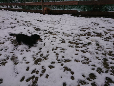 f:id:roukenhome-ann:20190127131503j:plain
