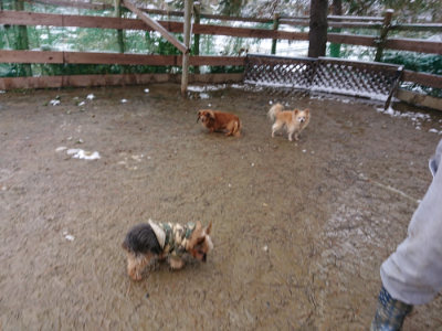 f:id:roukenhome-ann:20190127131548j:plain