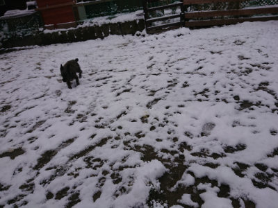 f:id:roukenhome-ann:20190127131555j:plain