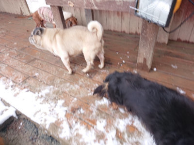 f:id:roukenhome-ann:20190127131601j:plain