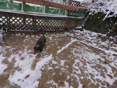 f:id:roukenhome-ann:20190127131739j:plain