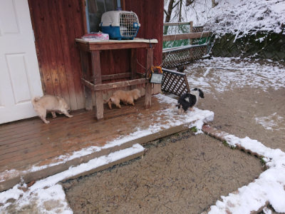 f:id:roukenhome-ann:20190127131825j:plain