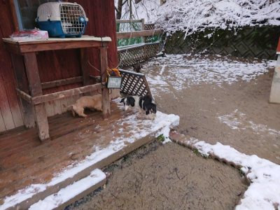 f:id:roukenhome-ann:20190127131832j:plain