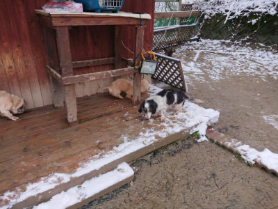 f:id:roukenhome-ann:20190127131838j:plain