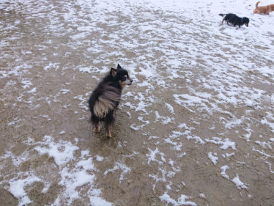 f:id:roukenhome-ann:20190127131844j:plain