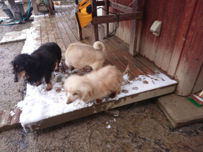 f:id:roukenhome-ann:20190127131901j:plain