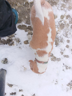 f:id:roukenhome-ann:20190127132121j:plain