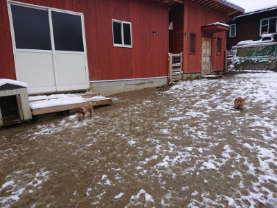 f:id:roukenhome-ann:20190127132240j:plain