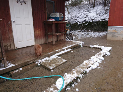 f:id:roukenhome-ann:20190127132249j:plain