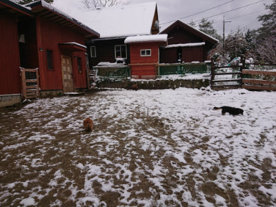 f:id:roukenhome-ann:20190127132256j:plain