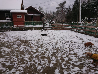 f:id:roukenhome-ann:20190127132319j:plain