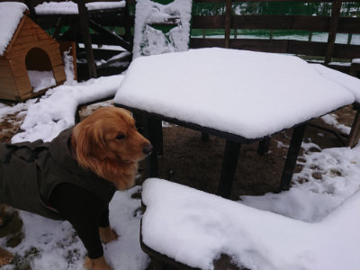 f:id:roukenhome-ann:20190128074824j:plain