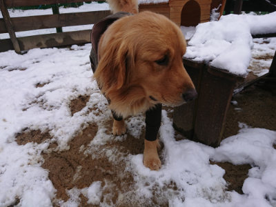 f:id:roukenhome-ann:20190128074900j:plain