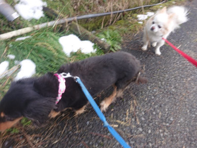 f:id:roukenhome-ann:20190128181838j:plain f:id:roukenhome-ann:20190128181838j:plain