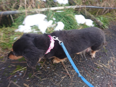 f:id:roukenhome-ann:20190128181857j:plain f:id:roukenhome-ann:20190128181857j:plain