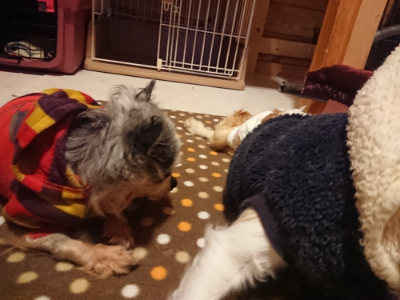 f:id:roukenhome-ann:20190128181923j:plain f:id:roukenhome-ann:20190128181923j:plain