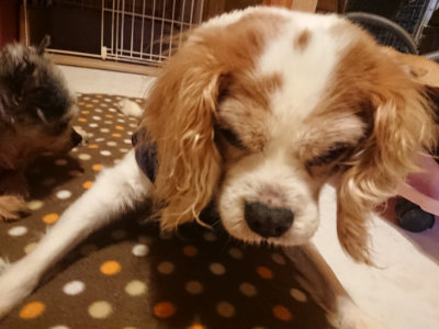 f:id:roukenhome-ann:20190128182228j:plain