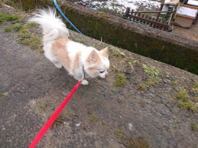 f:id:roukenhome-ann:20190128182450j:plain f:id:roukenhome-ann:20190128182450j:plain