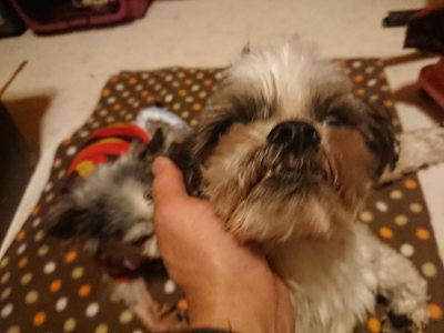 f:id:roukenhome-ann:20190128182512j:plain f:id:roukenhome-ann:20190128182512j:plain