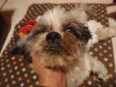 f:id:roukenhome-ann:20190128182517j:plain f:id:roukenhome-ann:20190128182517j:plain