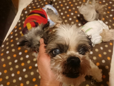f:id:roukenhome-ann:20190128182522j:plain f:id:roukenhome-ann:20190128182522j:plain