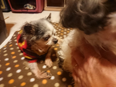 f:id:roukenhome-ann:20190128182532j:plain f:id:roukenhome-ann:20190128182532j:plain