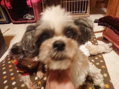 f:id:roukenhome-ann:20190128182539j:plain f:id:roukenhome-ann:20190128182539j:plain