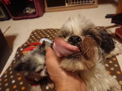 f:id:roukenhome-ann:20190128182546j:plain f:id:roukenhome-ann:20190128182546j:plain