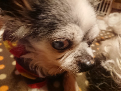 f:id:roukenhome-ann:20190128182603j:plain f:id:roukenhome-ann:20190128182603j:plain