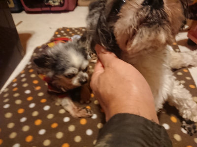 f:id:roukenhome-ann:20190128182615j:plain f:id:roukenhome-ann:20190128182615j:plain