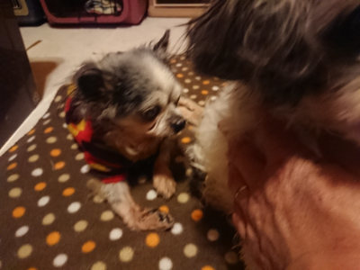 f:id:roukenhome-ann:20190128182620j:plain f:id:roukenhome-ann:20190128182620j:plain