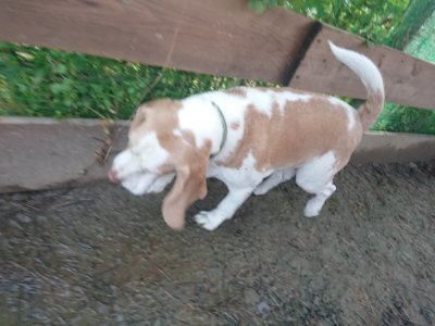 f:id:roukenhome-ann:20190128182743j:plain f:id:roukenhome-ann:20190128182743j:plain