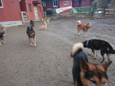 f:id:roukenhome-ann:20190128184559j:plain