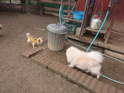 f:id:roukenhome-ann:20190128184718j:plain