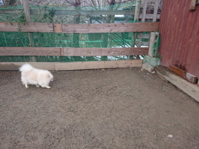 f:id:roukenhome-ann:20190128184816j:plain