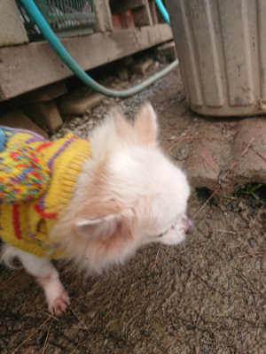 f:id:roukenhome-ann:20190128184834j:plain