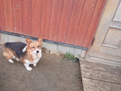 f:id:roukenhome-ann:20190128185018j:plain
