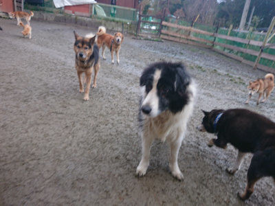 f:id:roukenhome-ann:20190128185857j:plain