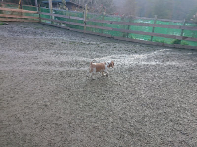 f:id:roukenhome-ann:20190128185903j:plain