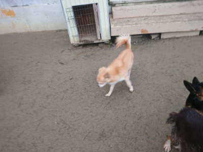 f:id:roukenhome-ann:20190128190143j:plain