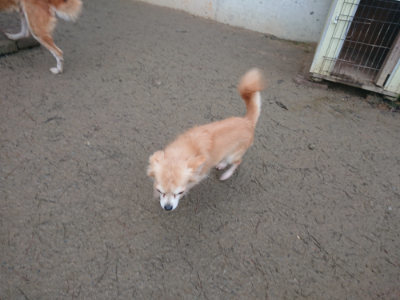 f:id:roukenhome-ann:20190128190157j:plain