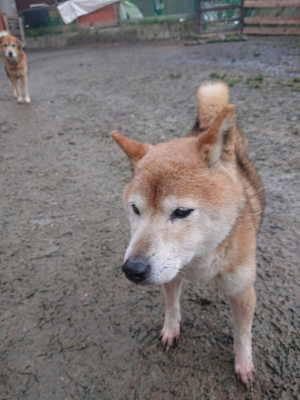 f:id:roukenhome-ann:20190128190222j:plain