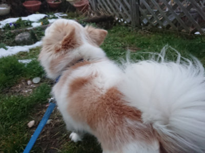 f:id:roukenhome-ann:20190128190229j:plain