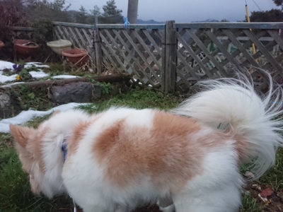 f:id:roukenhome-ann:20190128190235j:plain