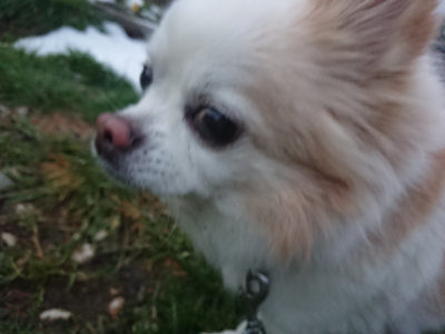 f:id:roukenhome-ann:20190128190242j:plain