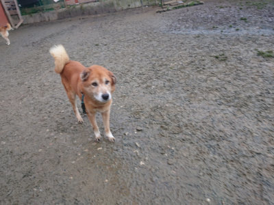f:id:roukenhome-ann:20190128190306j:plain